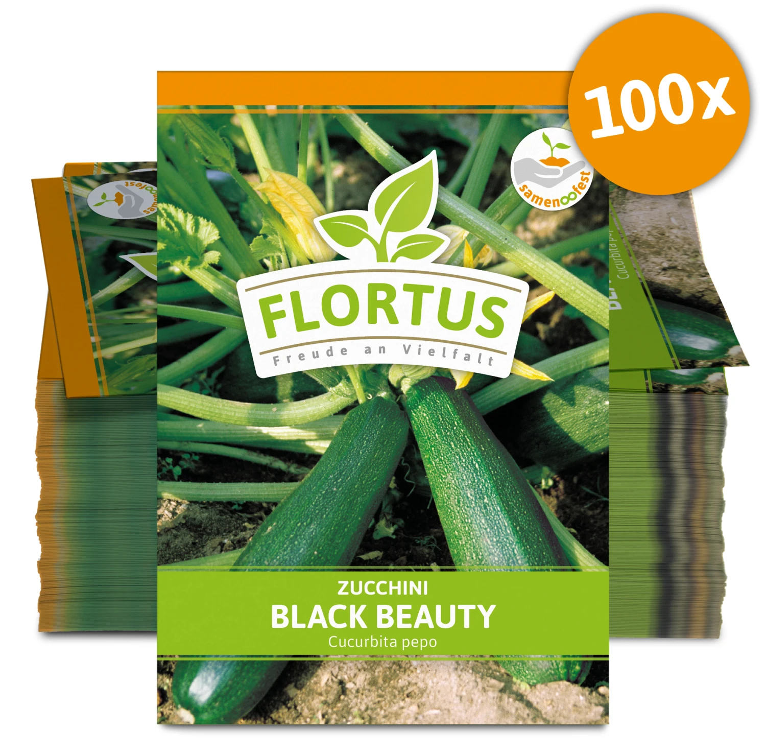 Zucchini Black Beauty (100 Stück) | Zucchinisamen Von FLORTUS – Bild 3