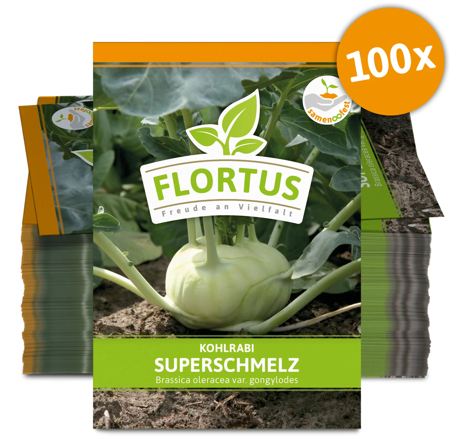 Kohlrabi Superschmelz (100 Stück) | Kohlrabisamen Von FLORTUS – Bild 2