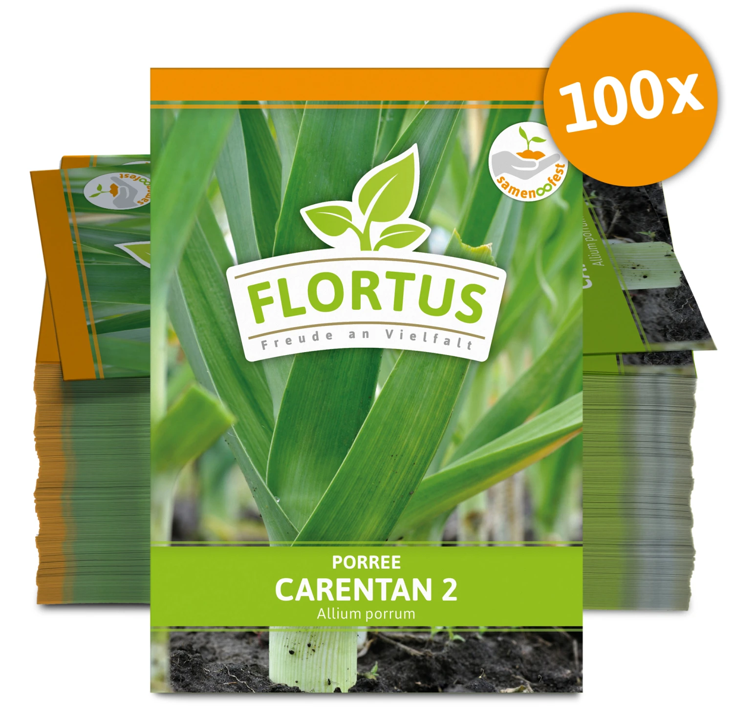 Lauch-Porree Carentan 2 (100 Stück) | Lauchsamen Von FLORTUS