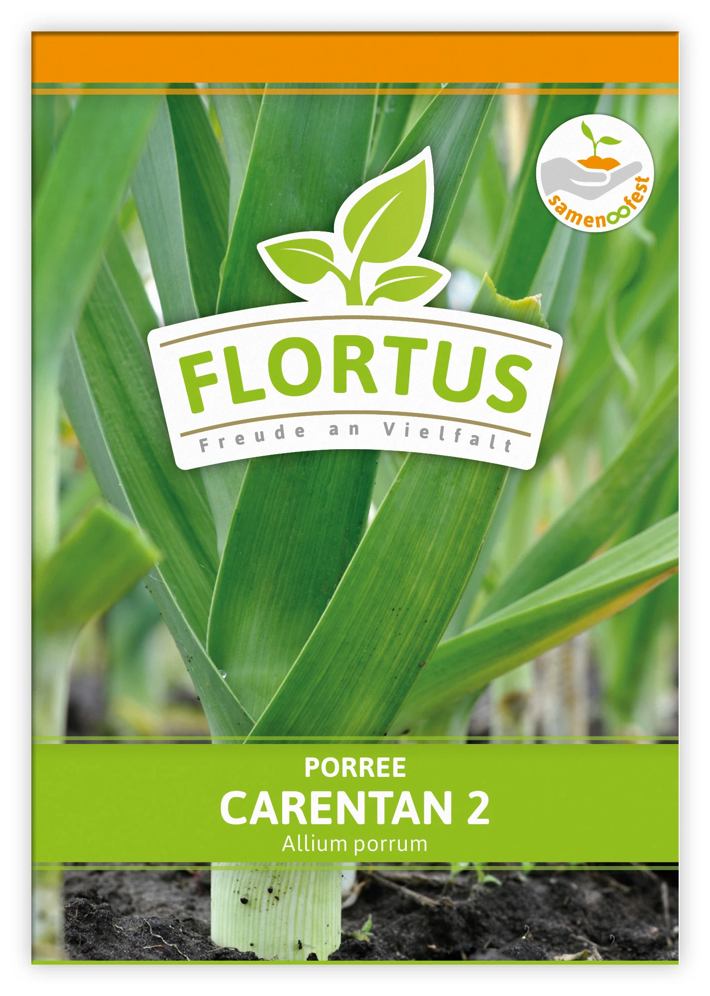 Lauch-Porree Carentan 2 (100 Stück) | Lauchsamen Von FLORTUS – Bild 3