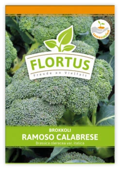 Brokkoli Ramoso Calabrese (100 Stück) | Brokkolisamen Von FLORTUS