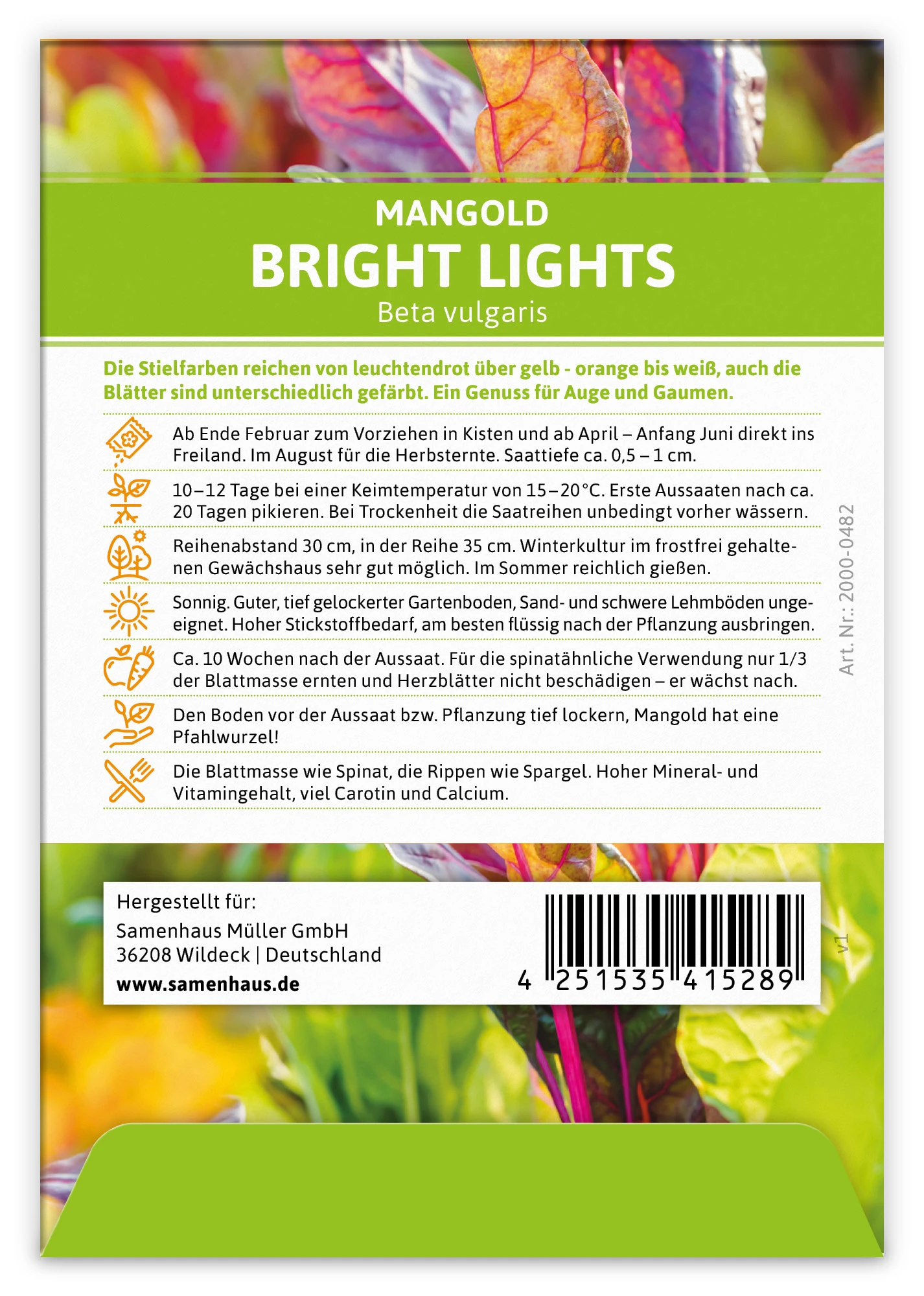 Mangold Bright Lights (100 Stück) | Mangoldsamen Von FLORTUS – Bild 3