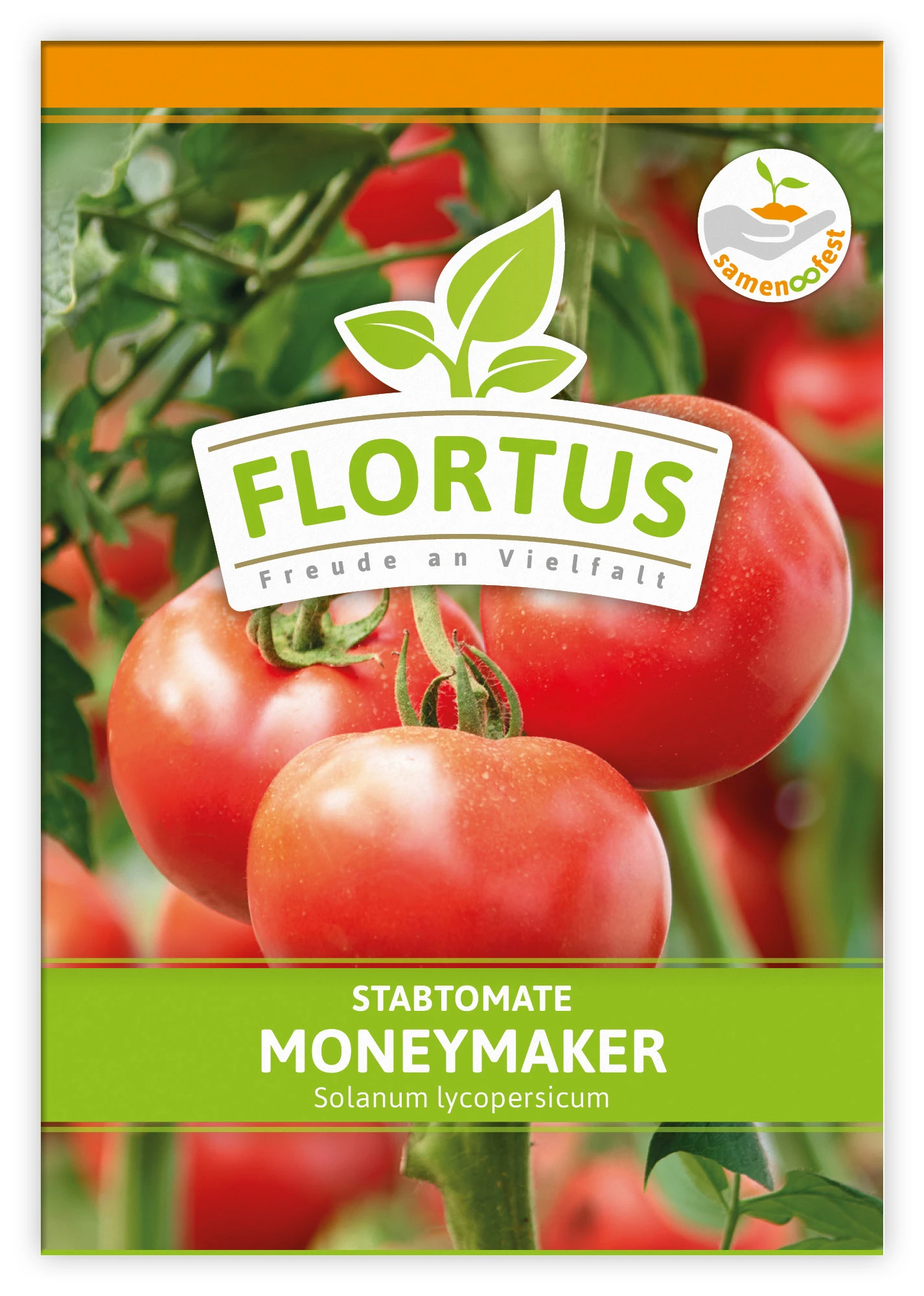 Tomate Moneymaker (100 Stück) | Tomatensamen Von FLORTUS – Bild 3