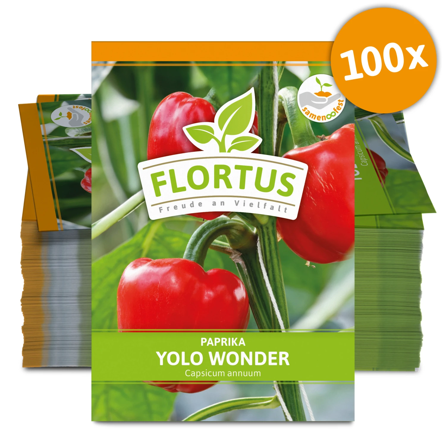 Paprika Yolo Wonder (100 Stück) | Paprikasamen Von FLORTUS – Bild 2