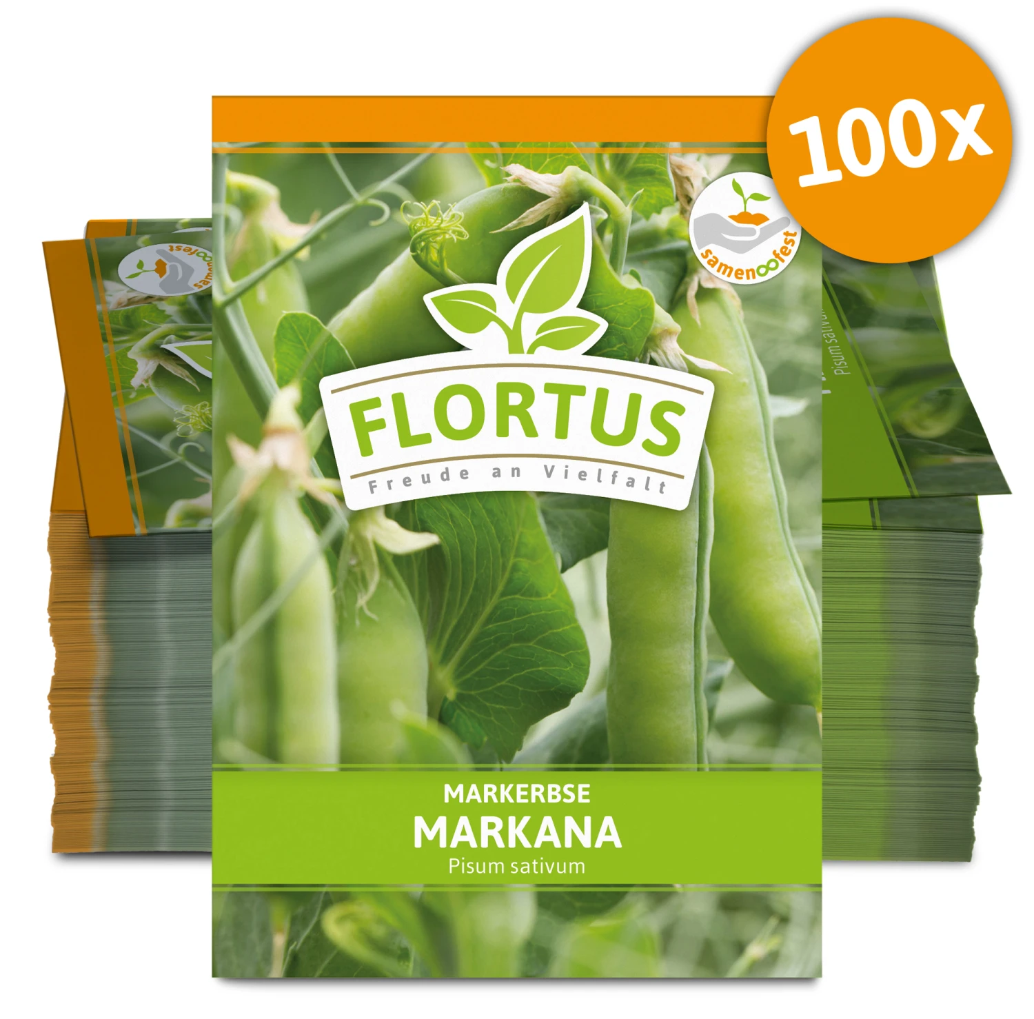 Markerbse Markana (100 Stück) | Markerbsensamen Von FLORTUS – Bild 3