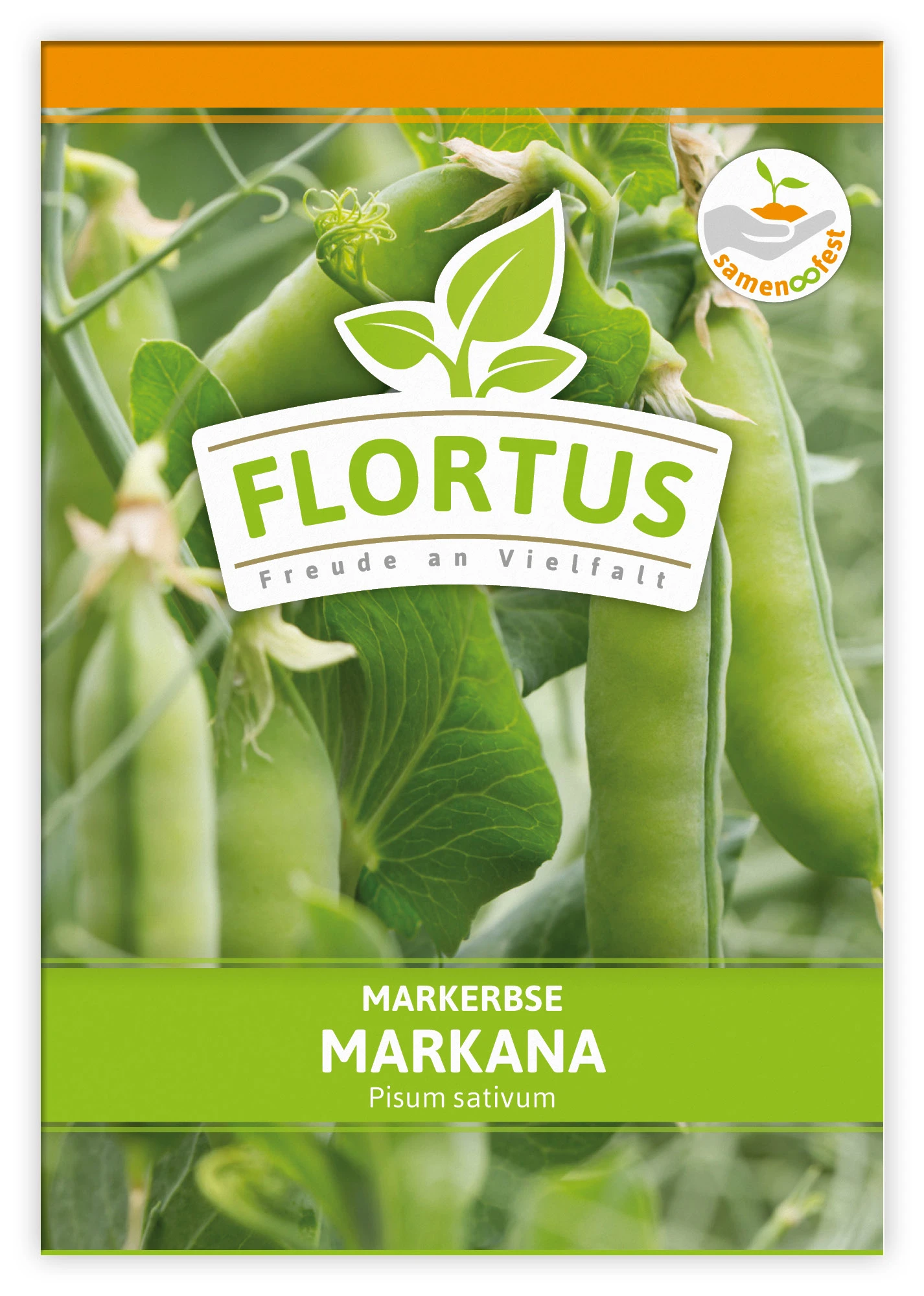 Markerbse Markana (100 Stück) | Markerbsensamen Von FLORTUS – Bild 2