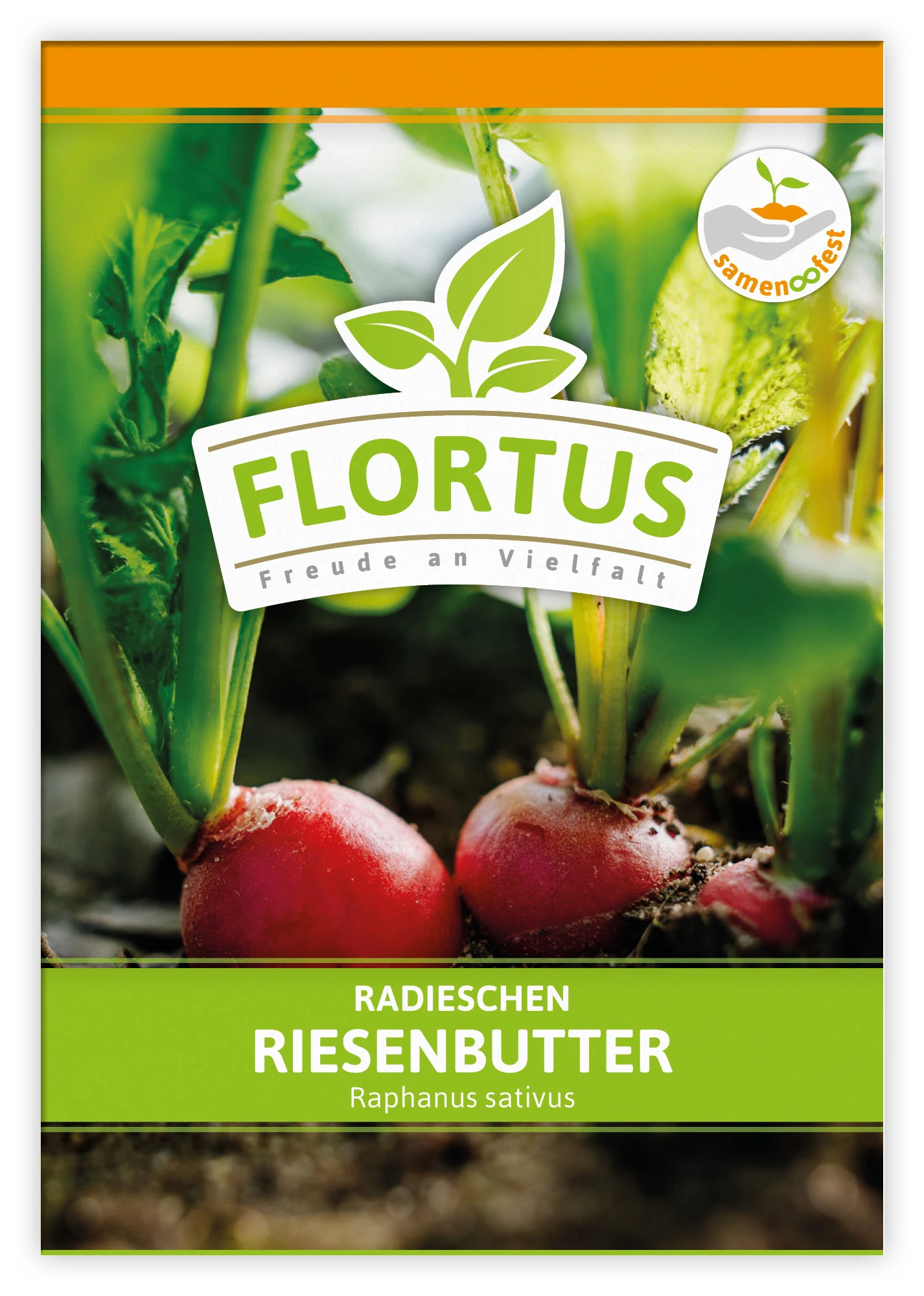 Radieschen Riesenbutter (100 Stück) | Radieschensamen Von FLORTUS – Bild 3