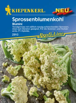 Sprossenblumenkohl Blumini F1 | Blumenkohlsamen Von Kiepenkerl