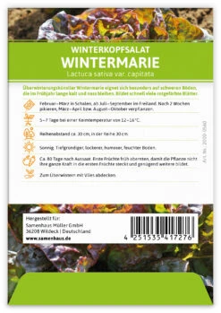 Winterkopfsalat Wintermarie (100 Tütchen) | Kopfsalatsamen Von FLORTUS