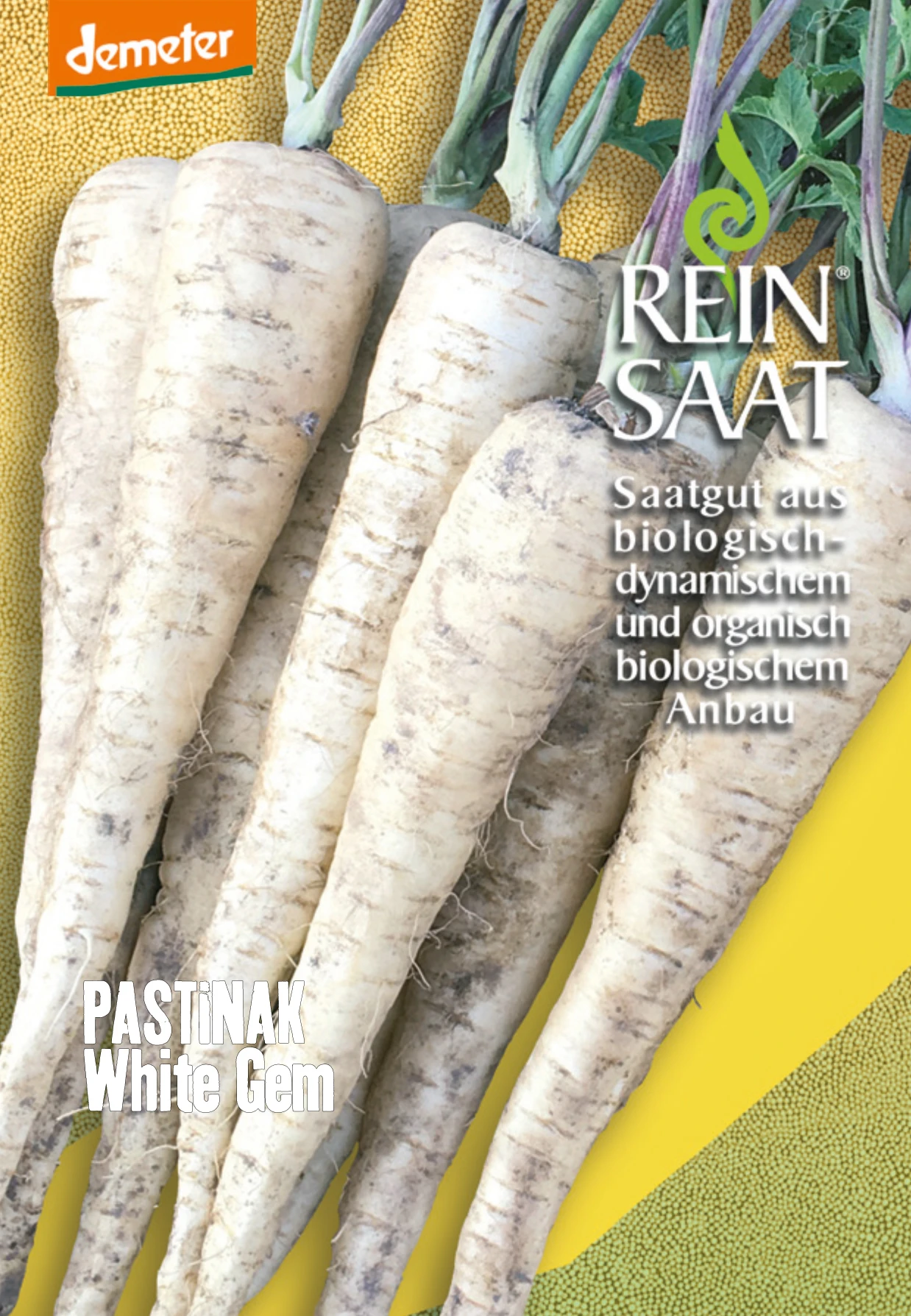 Pastinake White Gem | BIO Pastinakensamen Von Reinsaat