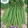 Zwerggartenbohne Ferrari | Bohnensamen Von Nelson Garden