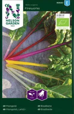 Mangold Fireworks | Mangoldsamen Von Nelson Garden