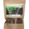 Futter Rüben Brigadier (250 G) | Runkelrüben- &amp; Futterrübensamen Von Buzzy Seeds