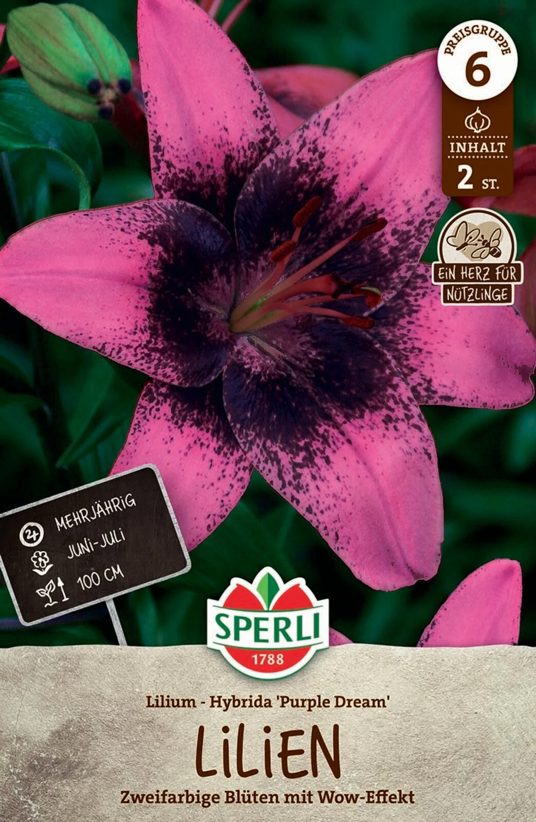 Lilie Purple Dream (2 Stück) | Lilienzwiebeln Von Sperli