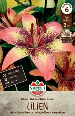 Lilie Tribal Dance (2 Stück) | Lilienzwiebeln Von Sperli