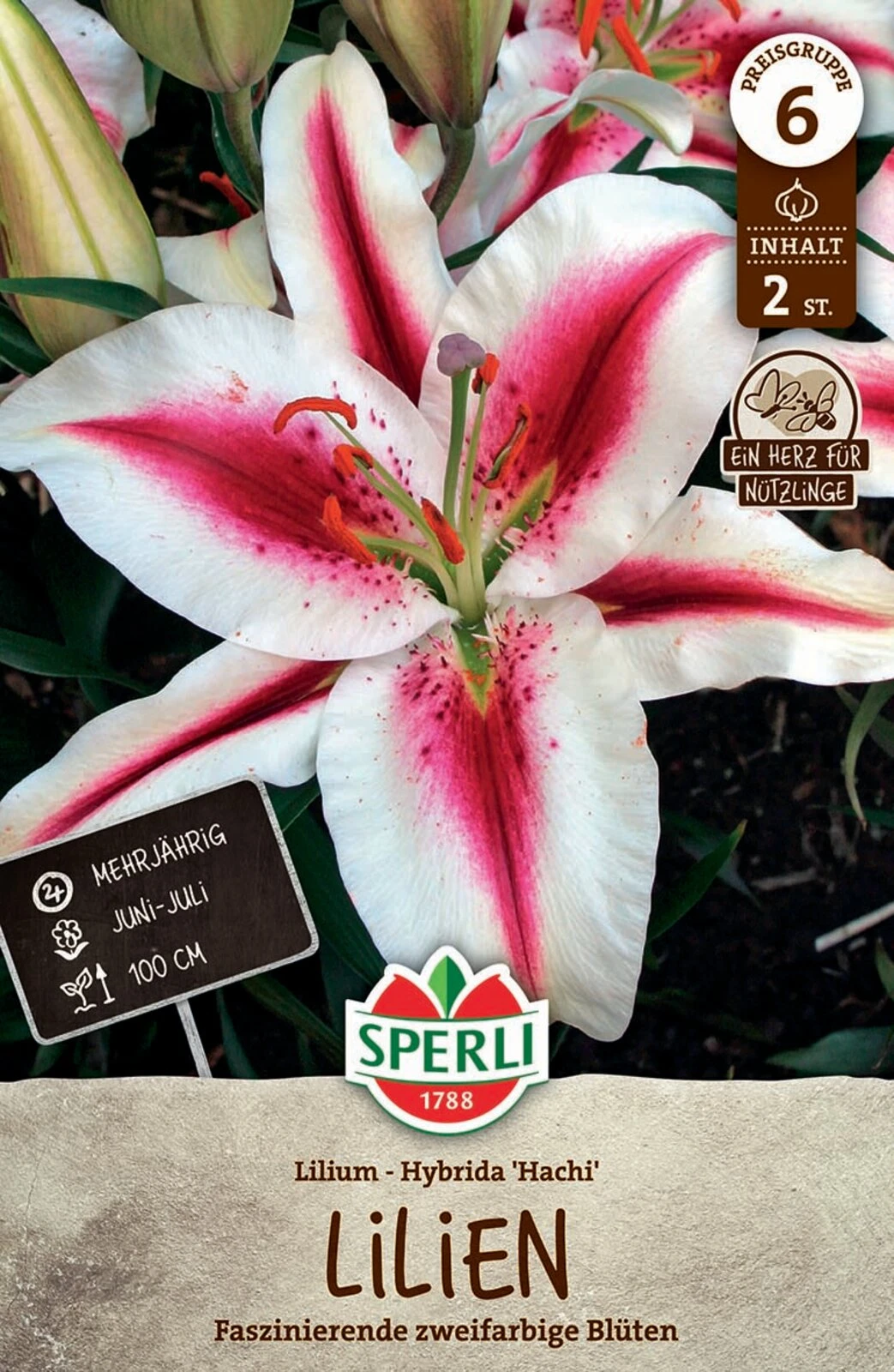 Lilie Hachi (2 Stück) | Lilienzwiebeln Von Sperli – Bild 2