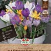 Gartenkrokus Mix (28 Stück) | Krokuszwiebeln Von Sperli