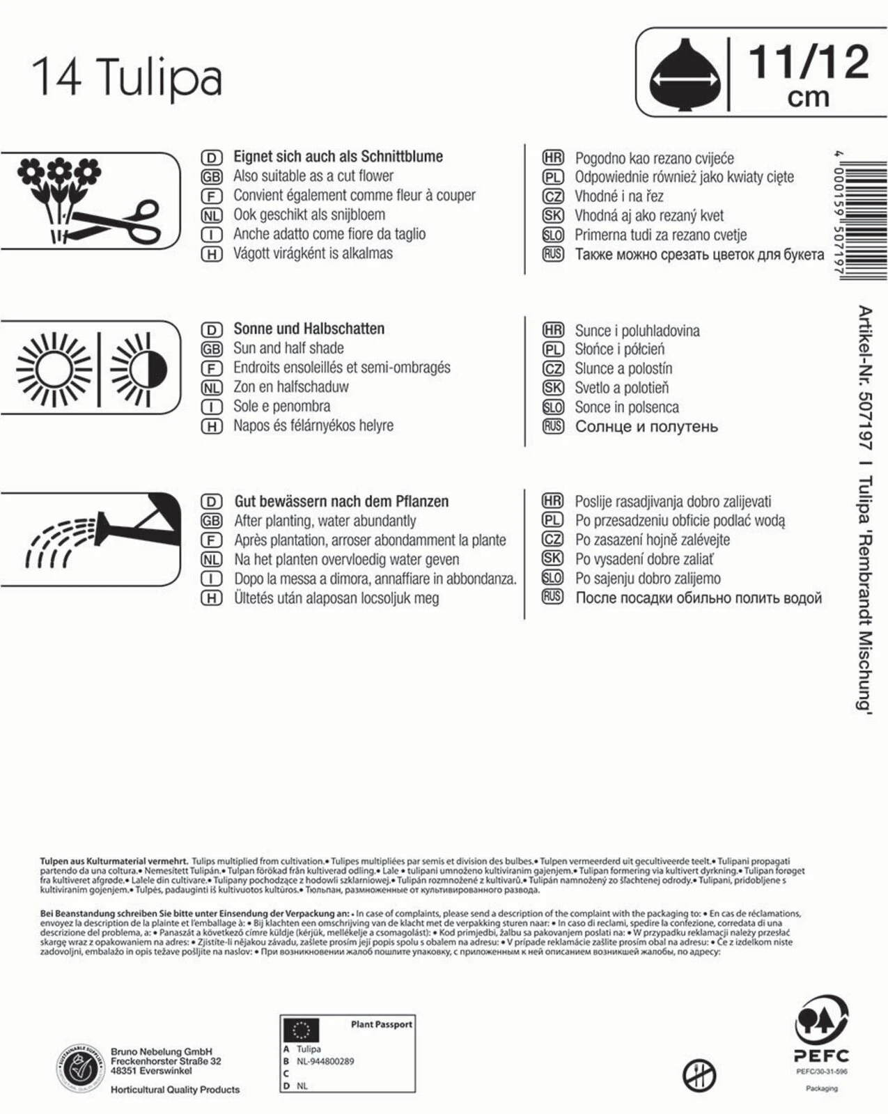 Mega-Pack Rembrandt-Tulpen Mischung (14 Stück) | Tulpenzwiebeln Von Kiepenkerl – Bild 2
