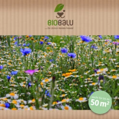 Wilde Apotheke (10 Stück) | Wildblumenwiese Von Biobalu