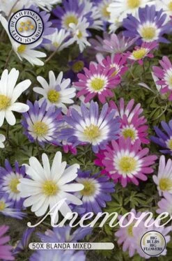 Anemone Mix (50 Stück) | Anemonenknollen Von Sam Van Schooten