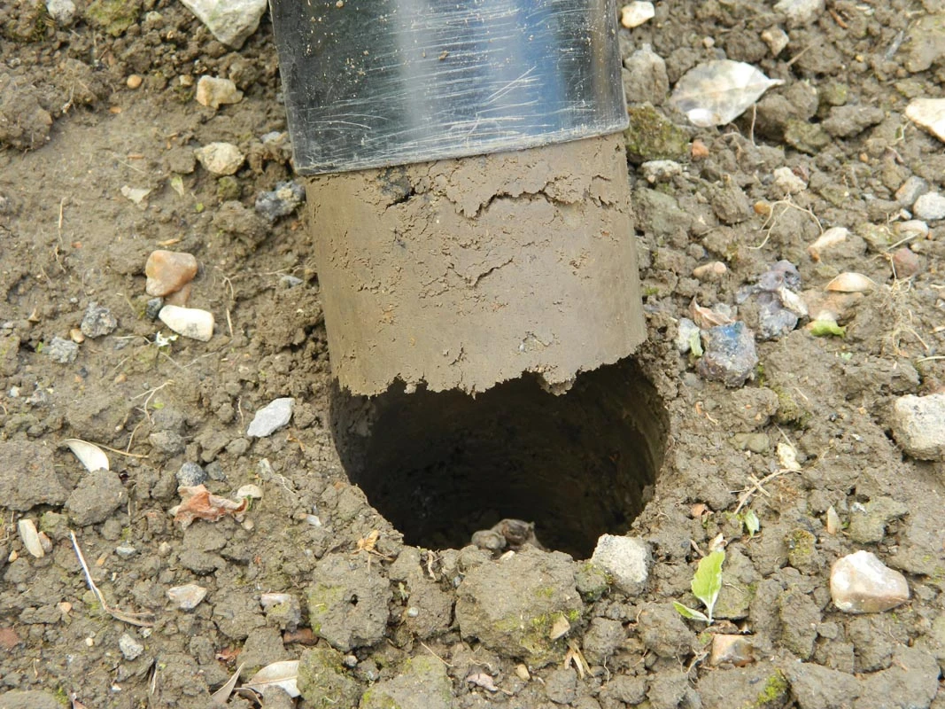 28 X 26 X 7,5 Cm Kurzstieliger Blumenzwiebel Pflanzer | Gartenzubehör Von Garland