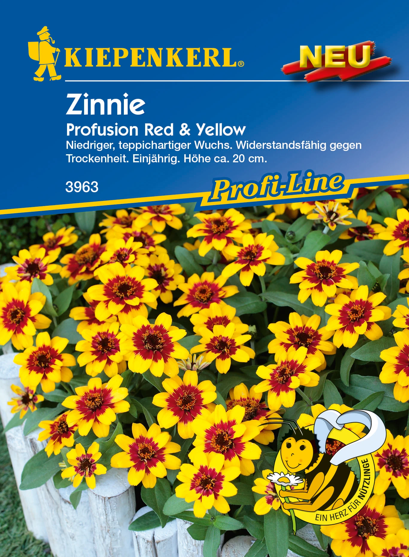 Zinnie Profusion Red & Yellow | Zinniensamen Von Kiepenkerl – Bild 2