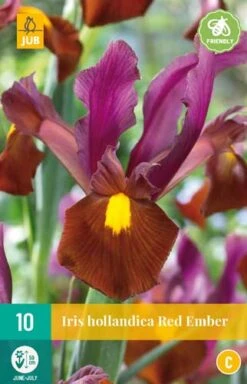 Iris Hollandica Red Ember (10 Stück) | Schwertlilienknollen Von Jub Holland