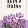Krokus (tommasinianus) Ruby Giant (15 Stück) | BIO Krokuszwiebeln Von Jub Holland