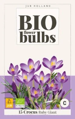 Krokus (tommasinianus) Ruby Giant (15 Stück) | BIO Krokuszwiebeln Von Jub Holland