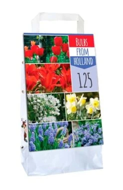Bulbs From Holland (125 Stück) | Blumenzwiebelmischungen Von Jub Holland