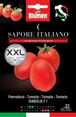 Tomate Sapore Italiano Diabolik F1 | Tomatensamen Von BLUMEN Group