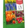 Bulb Garden Colorful (125 Stück) | Blumenzwiebelmischungen Von Jub Holland