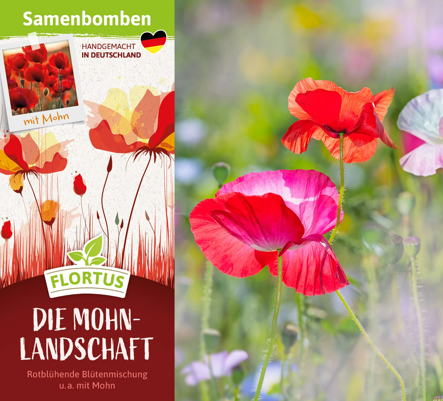 Samenbomben Die Mohnlandschaft (6 Stück) | Mohnsamen Von FLORTUS