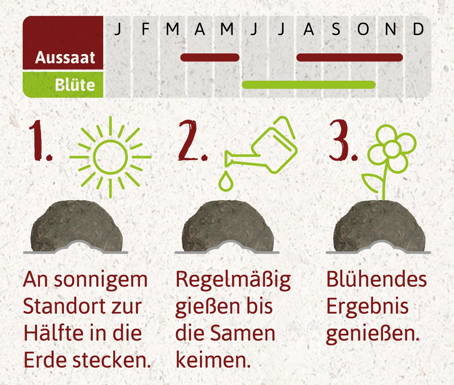 Samenbomben Die Mohnlandschaft (6 Stück) | Mohnsamen Von FLORTUS – Bild 2
