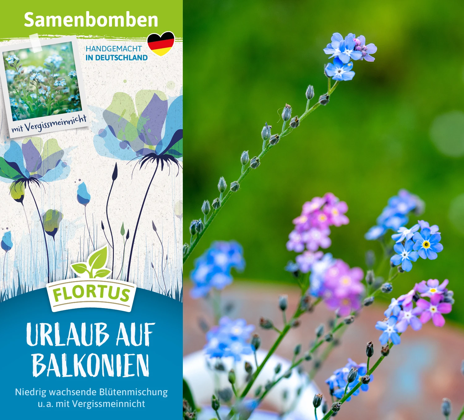 Samenbomben Urlaub Auf Balkonien (6 Stück) | Blumensamenmischung Von FLORTUS – Bild 4