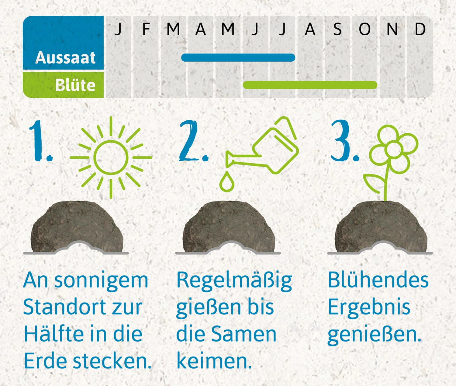 Samenbomben Urlaub Auf Balkonien (6 Stück) | Blumensamenmischung Von FLORTUS – Bild 6