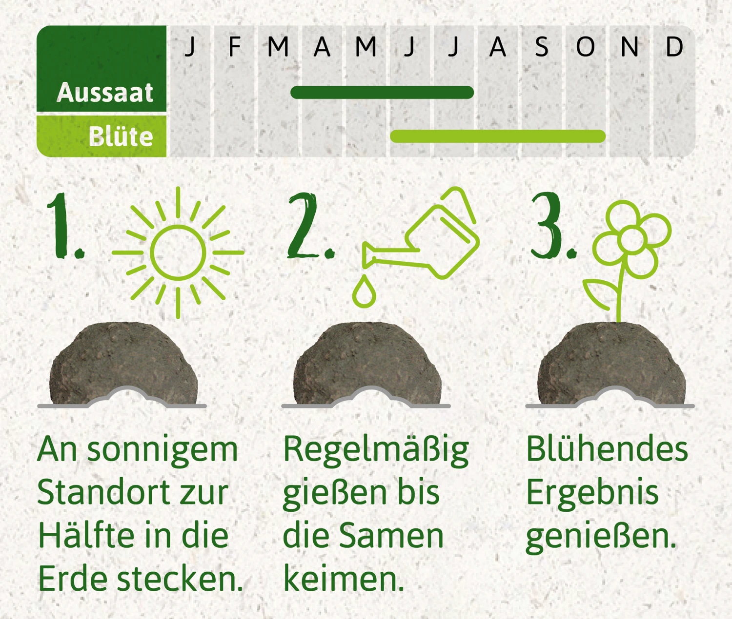 Samenbomben Set (8 Päckchen) | Blumensamenmischung Von FLORTUS – Bild 8