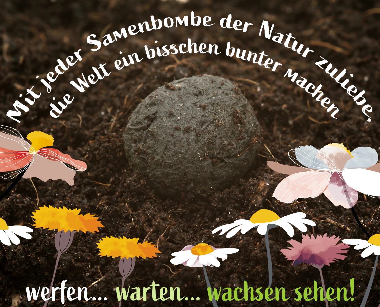 Samenbomben Set (8 Päckchen) | Blumensamenmischung Von FLORTUS – Bild 5